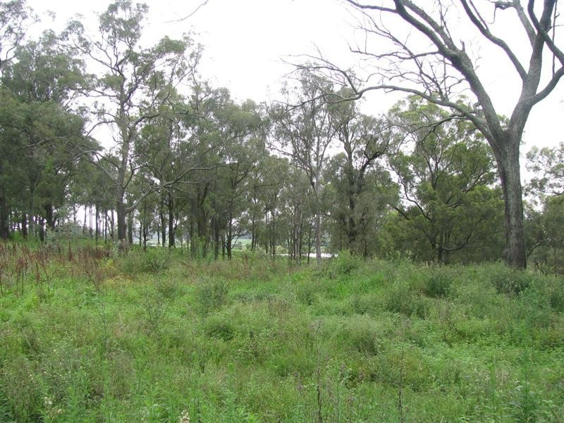 81 Kurmond Road, Wilberforce NSW 2756