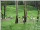 372 Lower Colo Road, Lower Portland NSW 2756