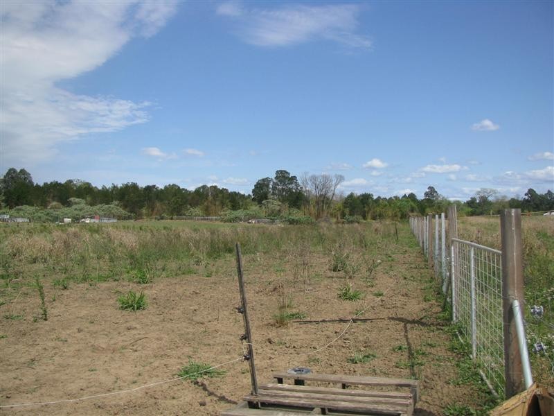 84 Livingstone Street, Windsor NSW 2756