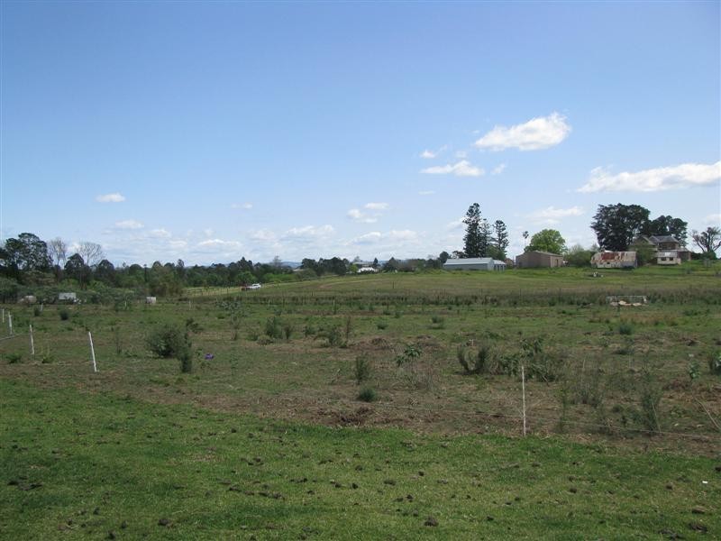 84 Livingstone Street, Windsor NSW 2756