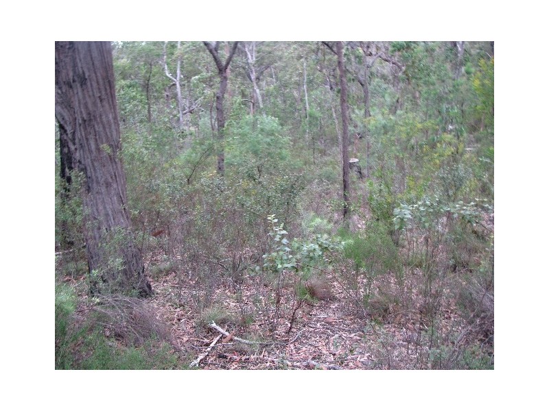 14C Yengo Drive, Putty NSW 2330