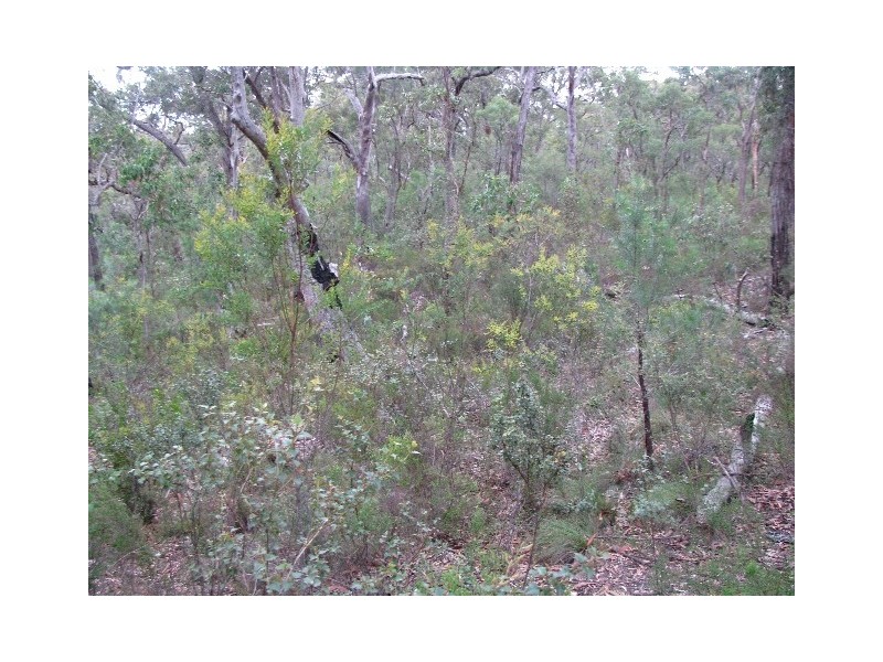 14C Yengo Drive, Putty NSW 2330