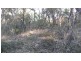 1493 Wheelbarrow Ridge Road, Lower Portland NSW 2756