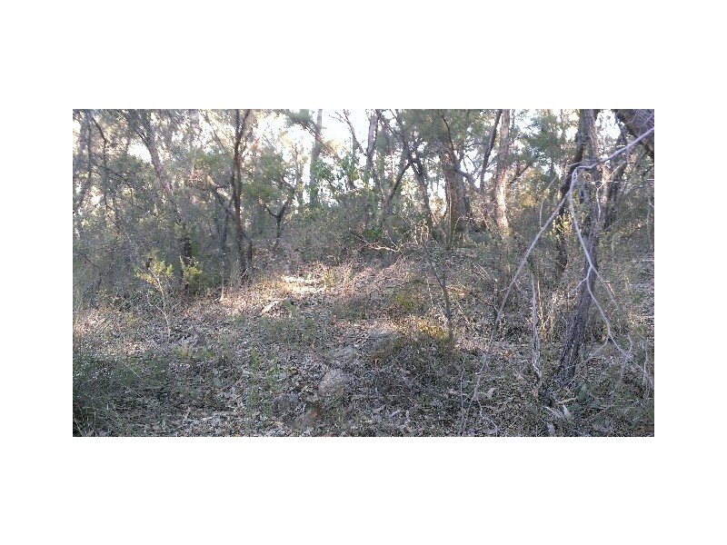 1493 Wheelbarrow Ridge Road, Lower Portland NSW 2756
