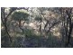 1493 Wheelbarrow Ridge Road, Lower Portland NSW 2756