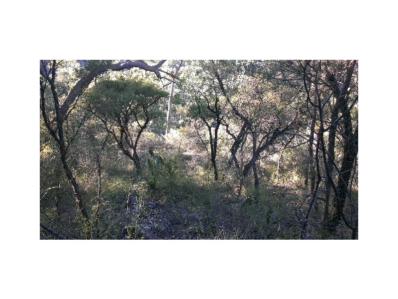 1493 Wheelbarrow Ridge Road, Lower Portland NSW 2756