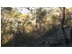 1493 Wheelbarrow Ridge Road, Lower Portland NSW 2756