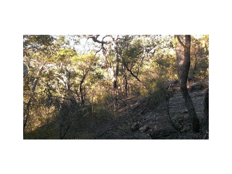 1493 Wheelbarrow Ridge Road, Lower Portland NSW 2756