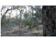 1493 Wheelbarrow Ridge Road, Lower Portland NSW 2756