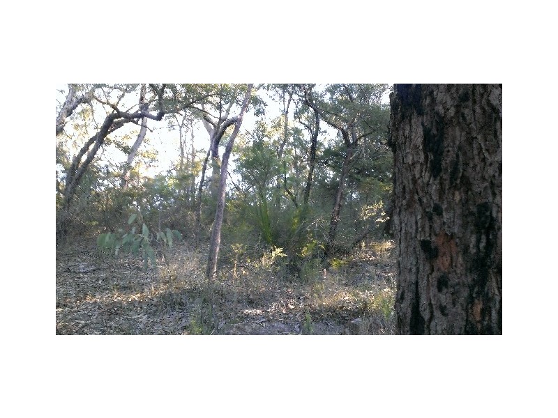 1493 Wheelbarrow Ridge Road, Lower Portland NSW 2756