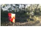 1493 Wheelbarrow Ridge Road, Lower Portland NSW 2756
