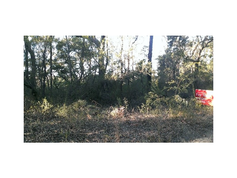 1493 Wheelbarrow Ridge Road, Lower Portland NSW 2756