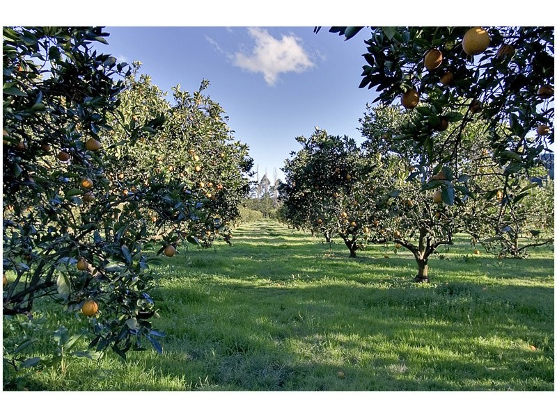 1280 West Portland Road, Lower Portland NSW 2756