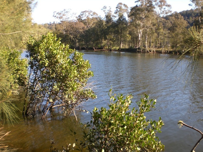 Lower Mangrove NSW 2250