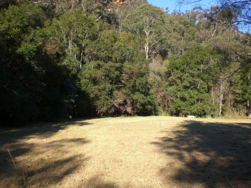 Lower Mangrove NSW 2250