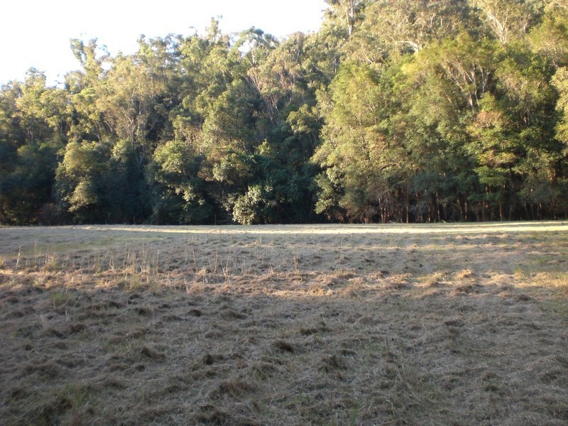 Lower Mangrove NSW 2250