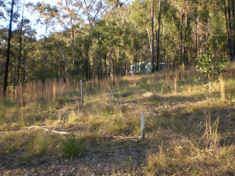 Lower Mangrove NSW 2250