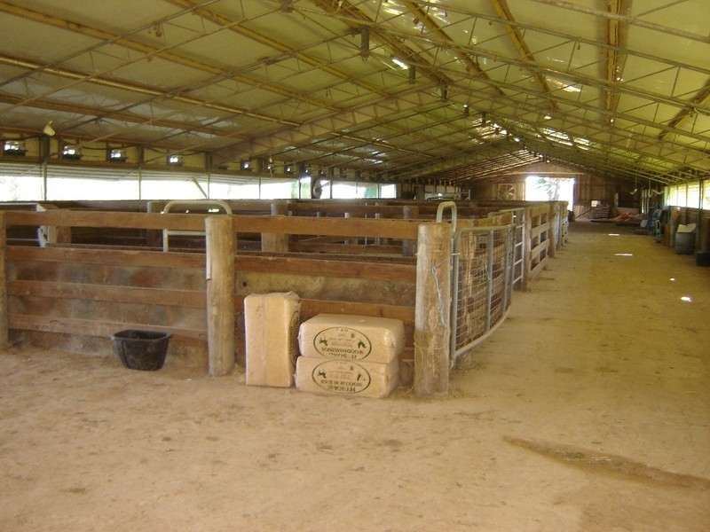 Peats Ridge NSW 2250