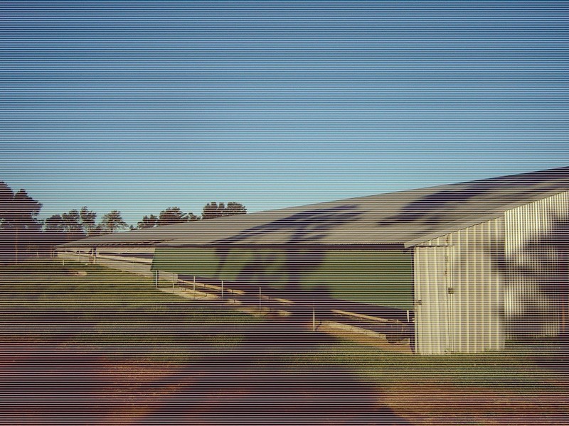 Peats Ridge NSW 2250