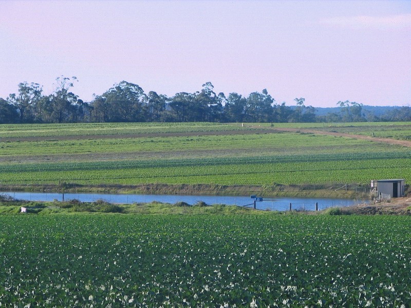 Mangrove Mountain NSW 2250