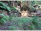 Spencer NSW 2775