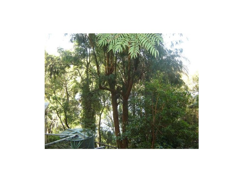 4942 Wisemans Ferry Road, Spencer NSW 2775