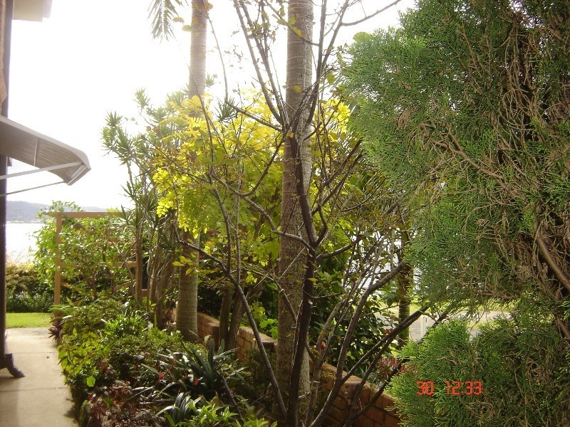 74 View Parade, Saratoga NSW 2251