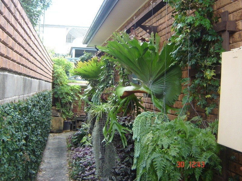 74 View Parade, Saratoga NSW 2251