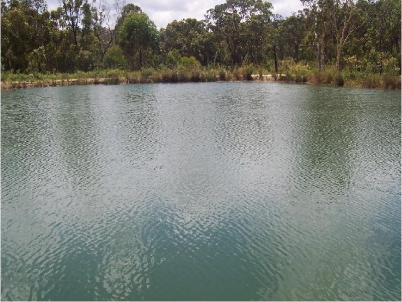 Mangrove Mountain NSW 2250