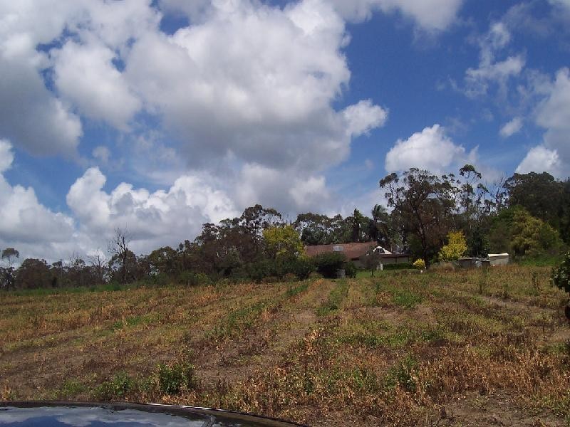 Mangrove Mountain NSW 2250