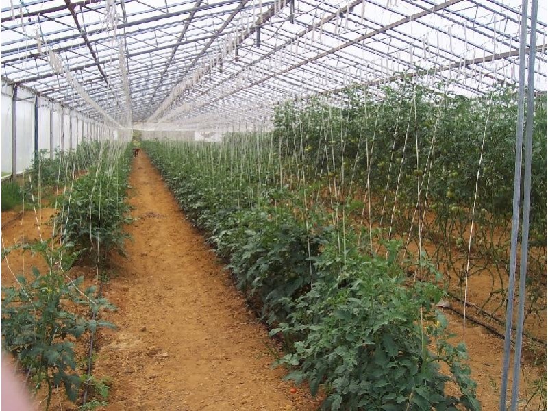 Mangrove Mountain NSW 2250