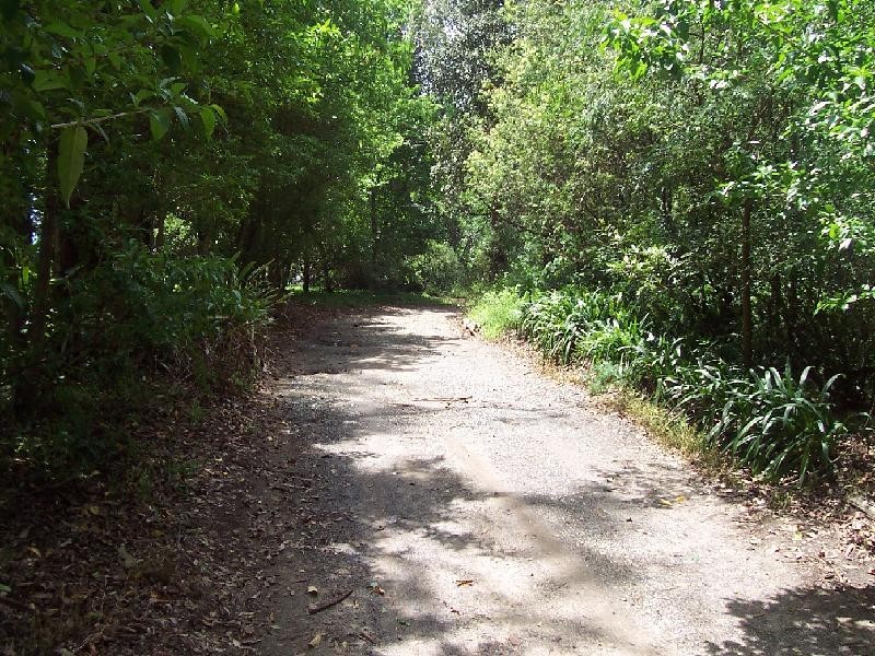 Mangrove Mountain NSW 2250
