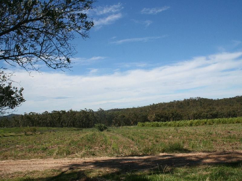 Mangrove Mountain NSW 2250