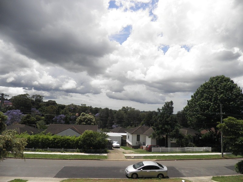 103 Marshall Road, Carlingford NSW 2118