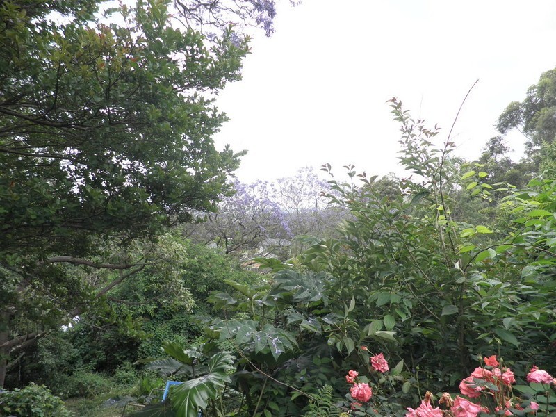 Dundas Valley NSW 2117