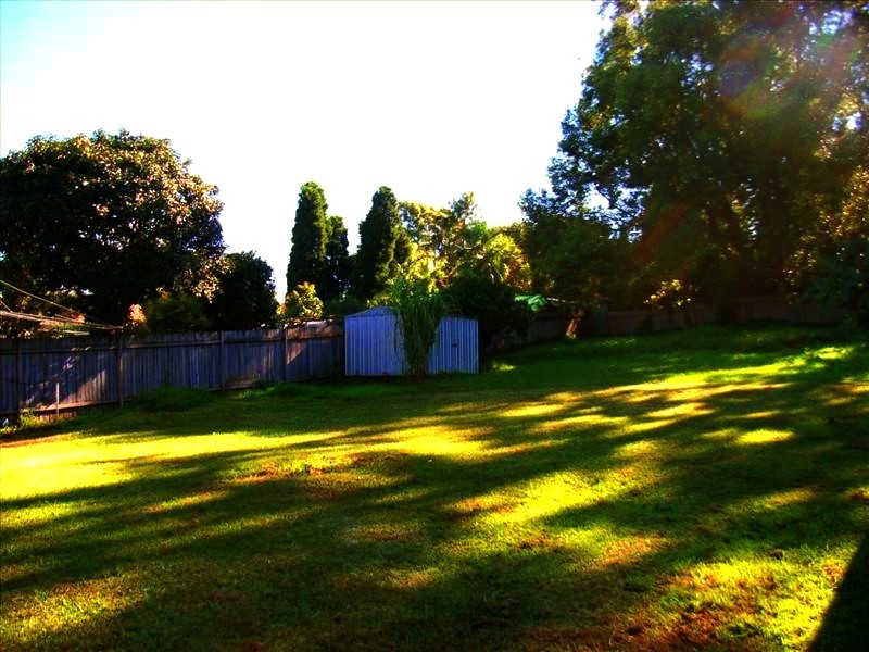 57 Moffatts Dr., Dundas Valley NSW 2117