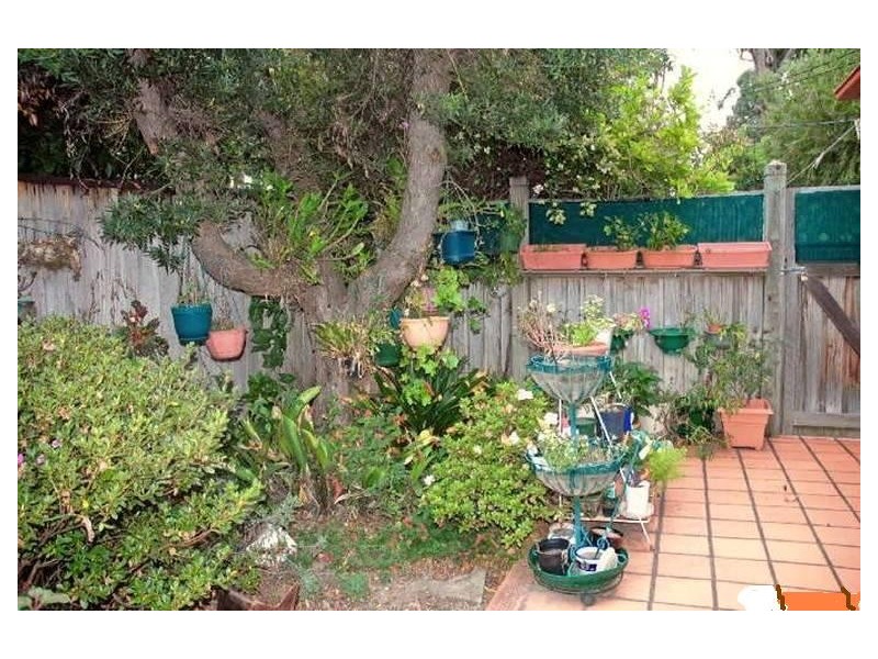 17 Vimiera Rd, Eastwood NSW 2122