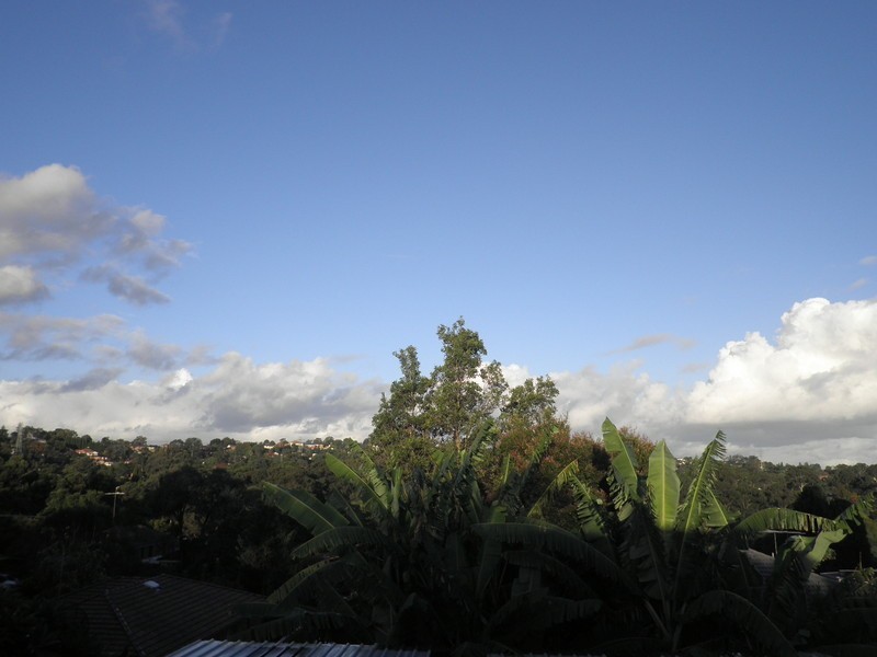 86  Evans Rd., Dundas Valley NSW 2117