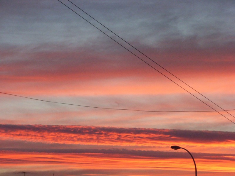 Carlingford NSW 2118