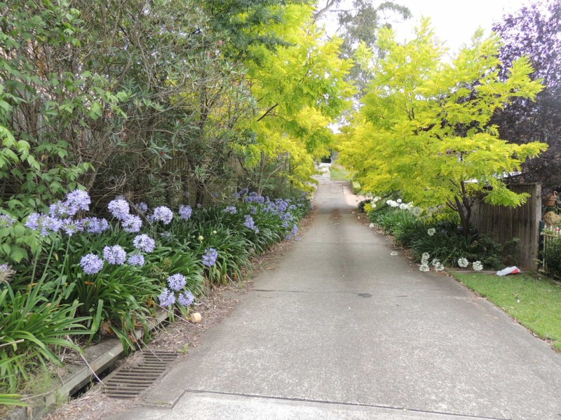 Castle Hill NSW 2154