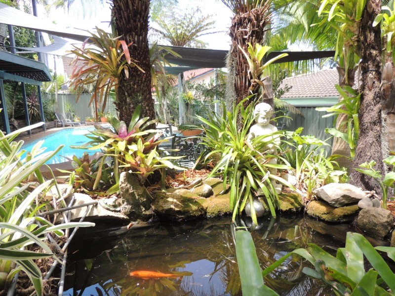 6 Adrian Court, Carlingford NSW 2118