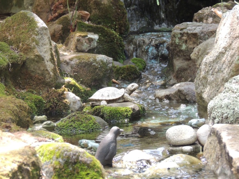 6 Adrian Court, Carlingford NSW 2118