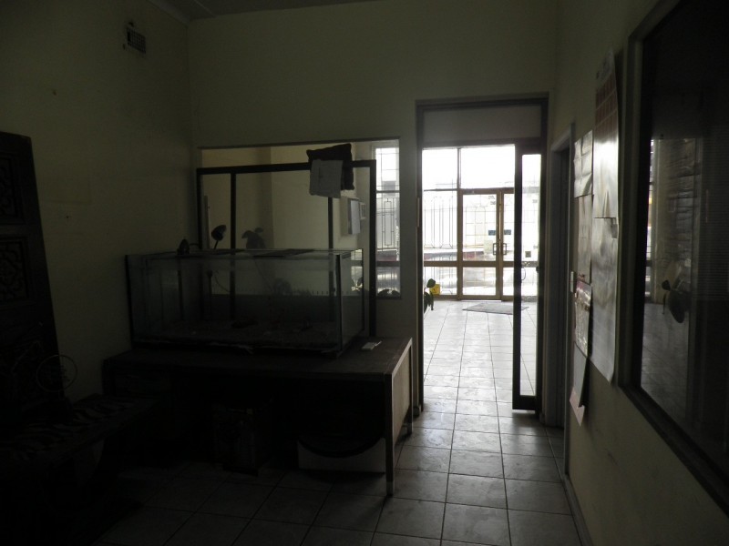 625 Canterbury Rd, Belmore NSW 2192