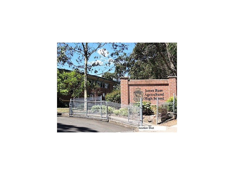 22 Windsor Ave, Carlingford NSW 2118