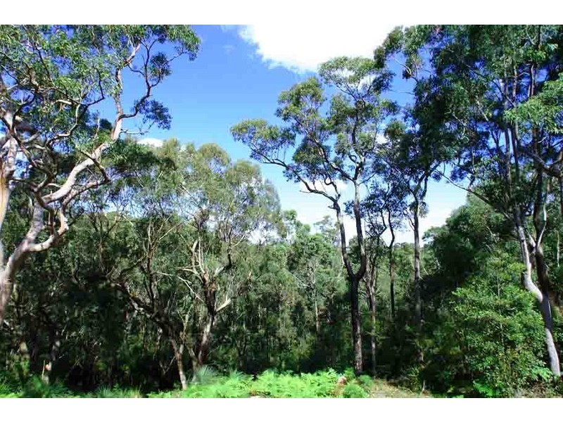 22 Cove Street, Turramurra NSW 2074