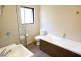 13/11-13  Cope Street, Lane Cove NSW 2066