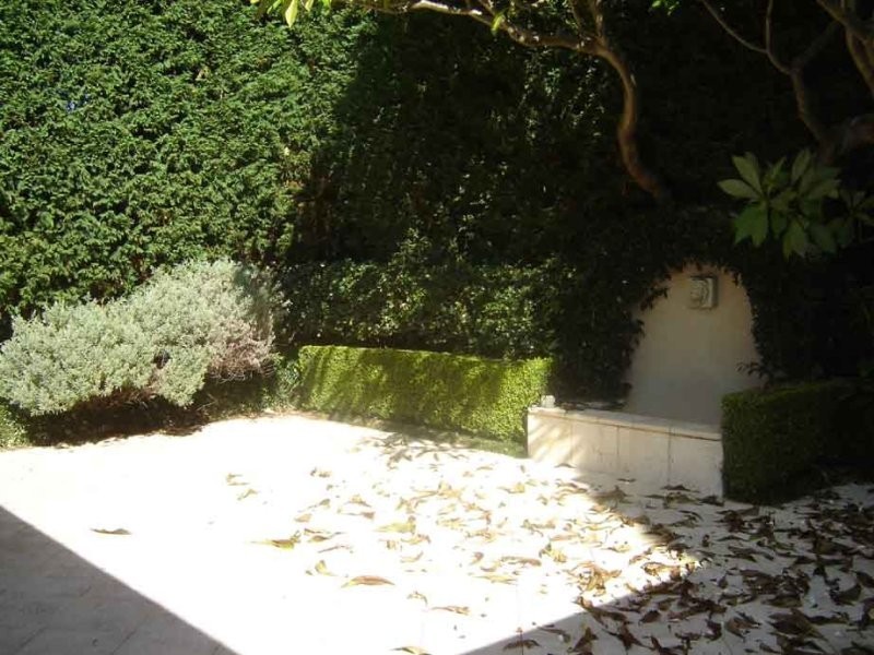 6 Shellcove Road, Neutral Bay NSW 2089