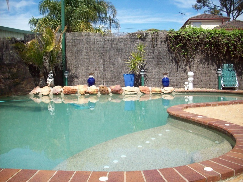 41 HAMEL RD, Mount Pritchard NSW 2170