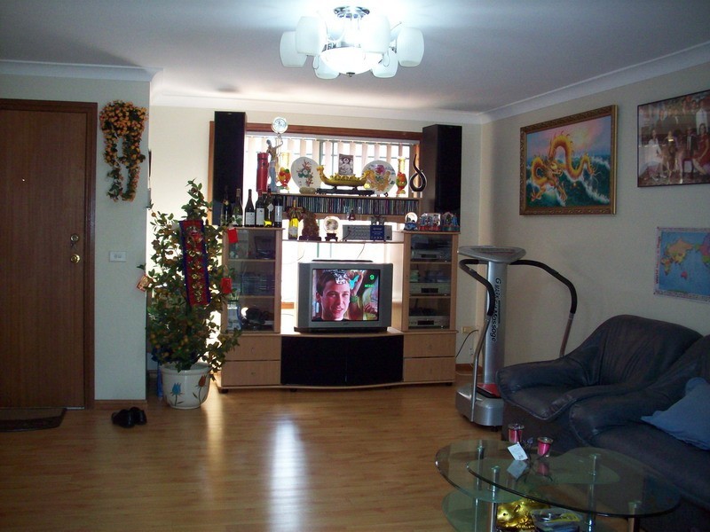 160 MEADOWS ROAD, Mount Pritchard NSW 2170