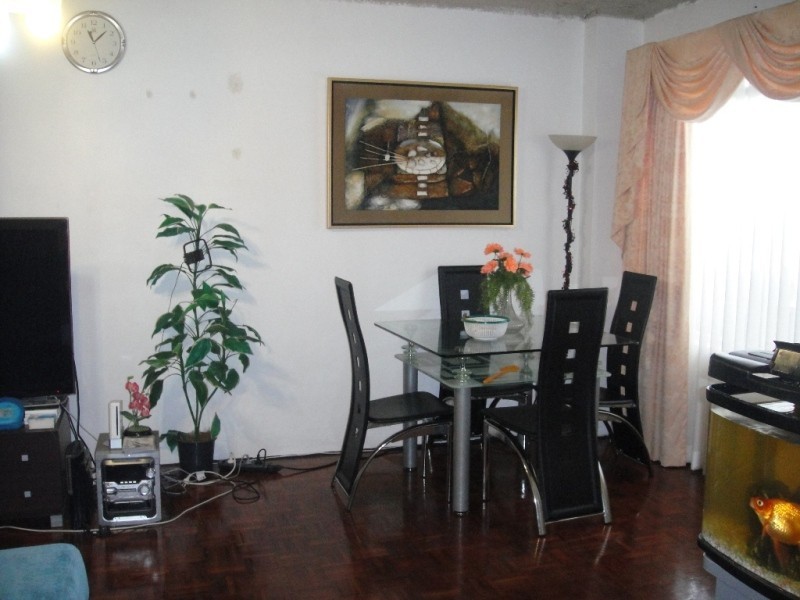 Canley Vale NSW 2166